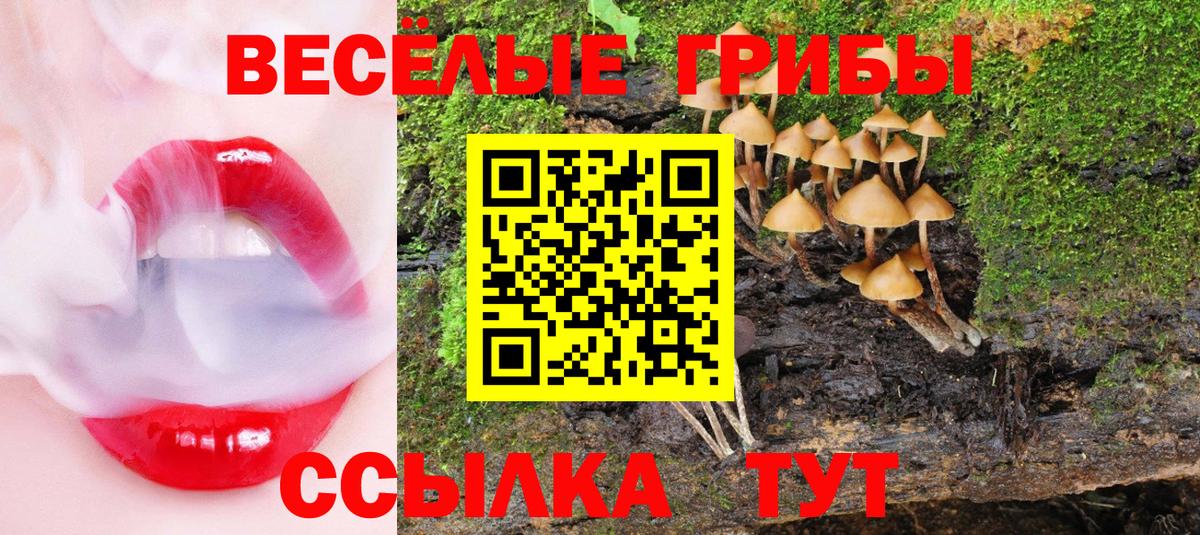Ефремов  Псилоцибиновые грибы Cubensis  Вход с VPN 