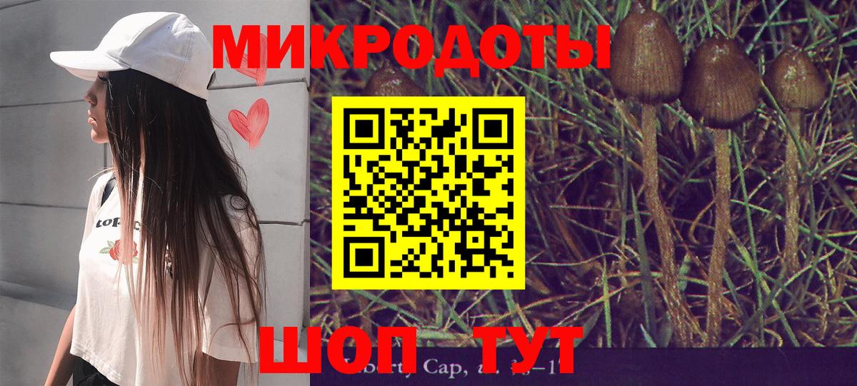 Псилоцибиновые грибы GOLDEN TEACHER Ефремов